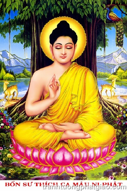 Bổn Sư Thích Ca Mâu Ni Phật (137)
